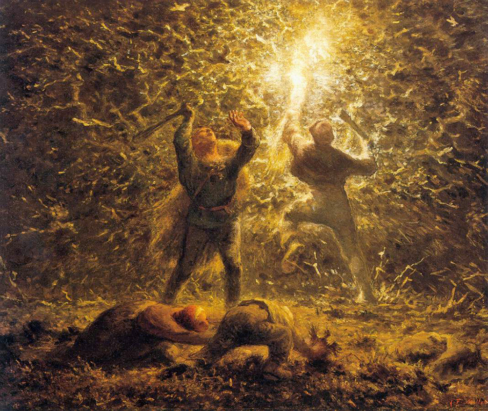 hunting birds at night